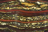 Polished Tiger Iron Stromatolite Slab - Billion Years #351890-1